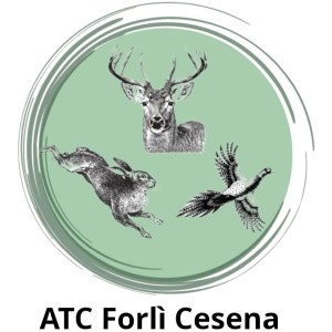 Logo Ente