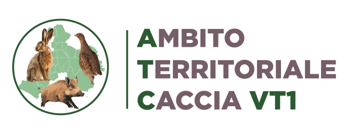 Logo Ente